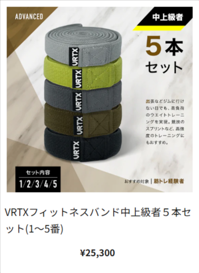 VRTX-BAND-次世代フィットネスバンド-12-29-2025_03_20_AM2