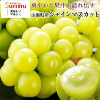 国産フルーツ-果物-スミフルの美味しいマルシェ-12-25-2025_02_51_AM