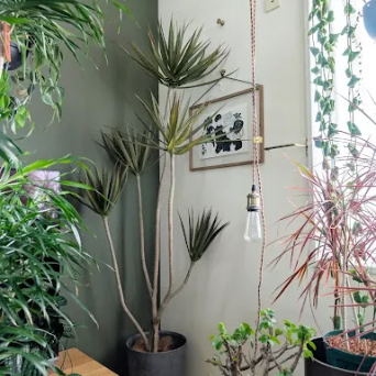 アーティフィシャルフラワー-造花--フェイクグリーン専門店PRIMA-プリマ-オンライン-01-16-2026_04_55_PM