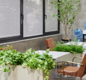 スタイリング事例-アーカイブ-PRIMA-Online-01-16-2026_05_05_PM