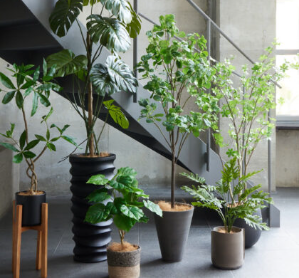 スタイリング事例-アーカイブ-PRIMA-Online-01-16-2026_05_06_PM